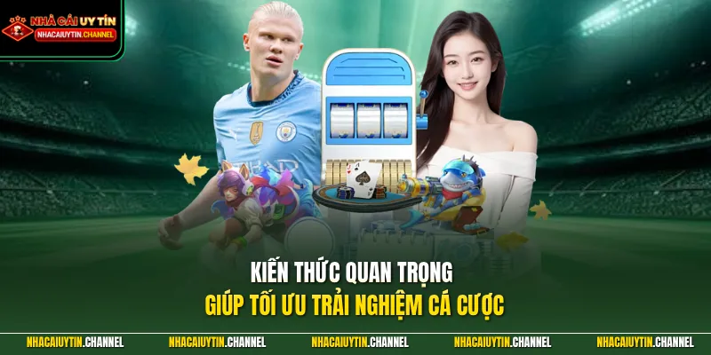 MAX79 - Nhà Cái Uy Tín Hàng Đầu Chuyên Nghiệp Số 1 Châu Á 5 Kiến thức quan trọng giúp tối ưu trải nghiệm cá cược